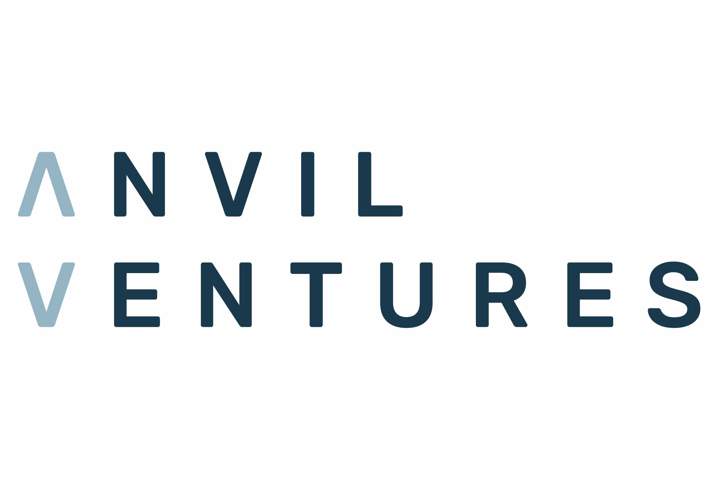 anvil software founderceo