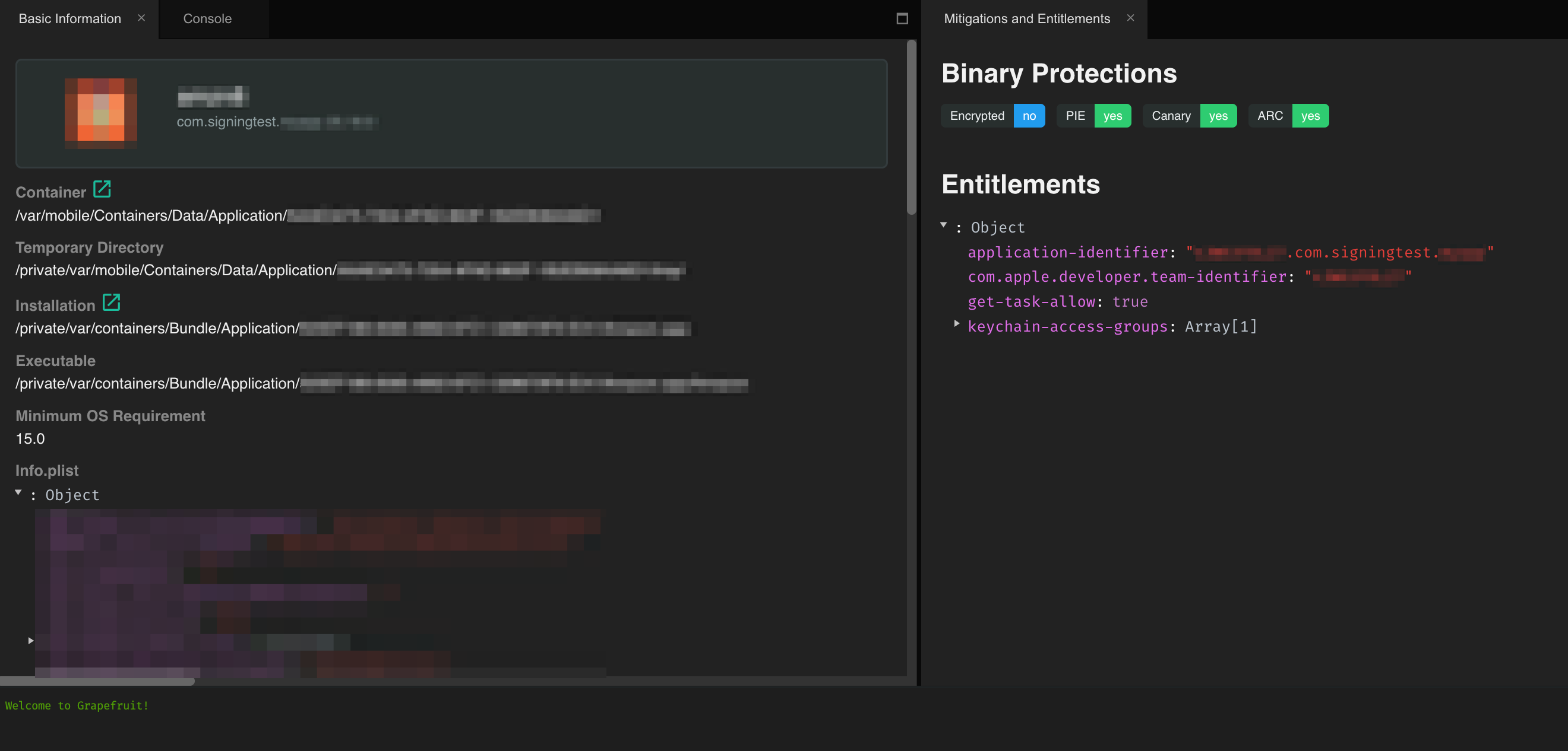 Inspecting app's internals with igf